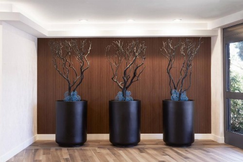 Fairfield Inn & Suites By Marriott Camarillo - image 8