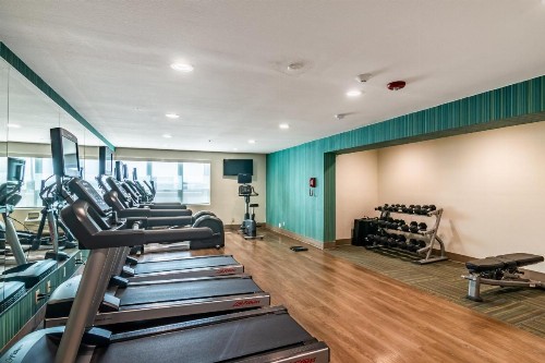 Holiday Inn Express & Suites Camarillo an IHG Hotel - image 12