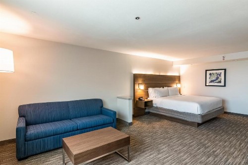 Holiday Inn Express & Suites Camarillo an IHG Hotel - image 25