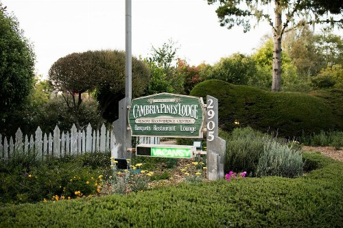 Cambria Pines Lodge - image 24
