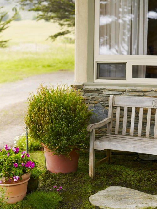 Moonstone Cottages - image 9