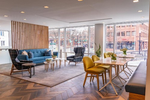 Harvard Square Hotel - image 14
