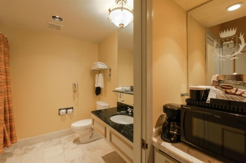 Carlyle Hotel - image 9
