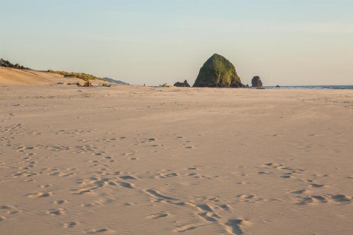 Schooner's Cove Inn - image 13