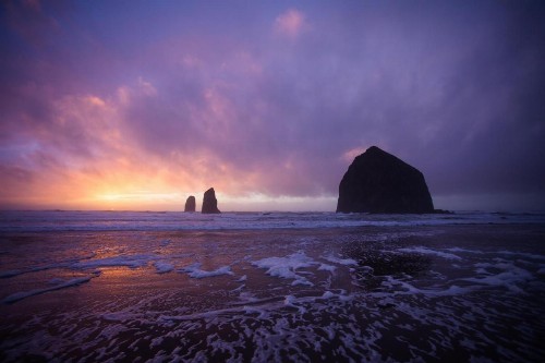 Inn at Cannon Beach - image 42