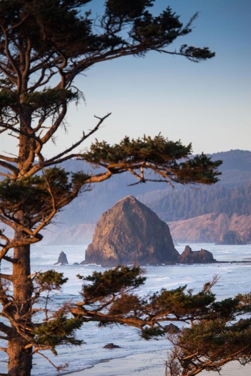 Inn at Cannon Beach - image 5