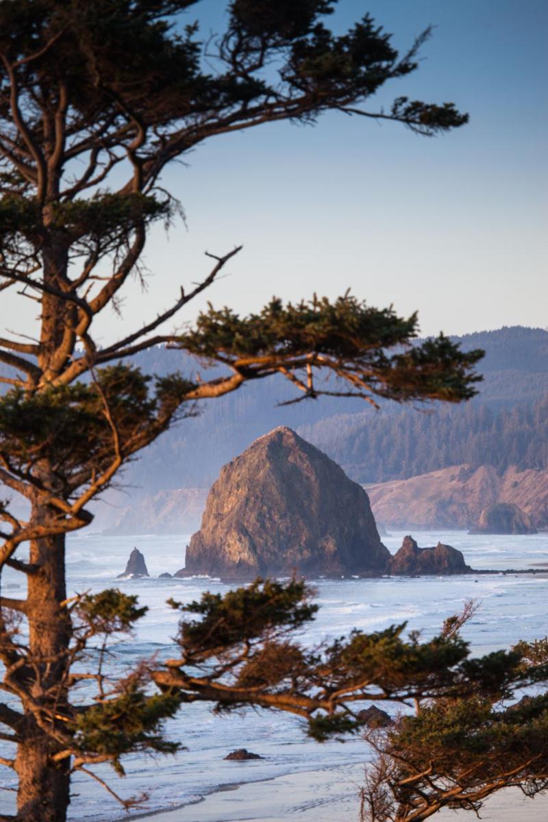 Inn at Cannon Beach - image 5