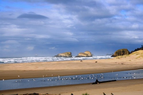 The Waves - image 36