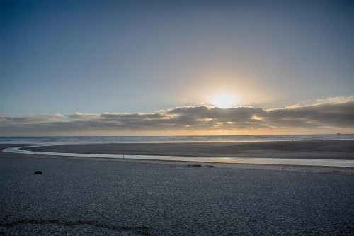 The Waves - image 43