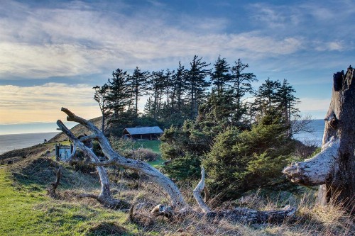 Beaches Inn | Pelicans View Cottage - image 7