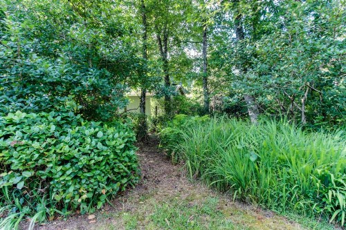 Rhododendron Grove - image 12