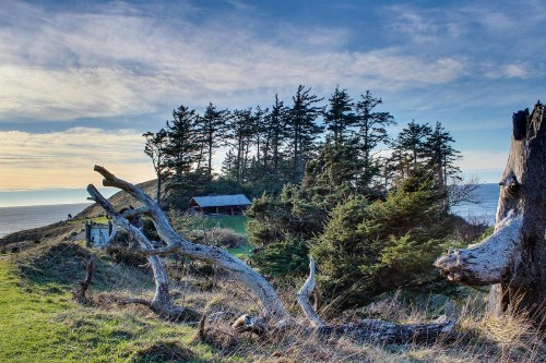 Beaches Inn | Herons Nest Loft - image 10
