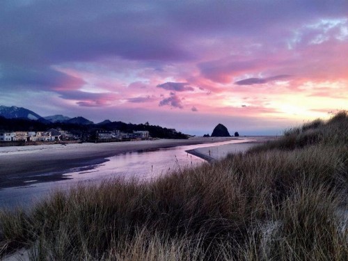 Webb's Scenic Surf - image 2