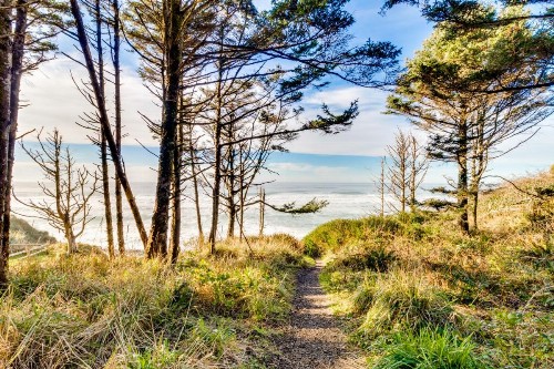 Cozy Cannon Beach Condo - image 7