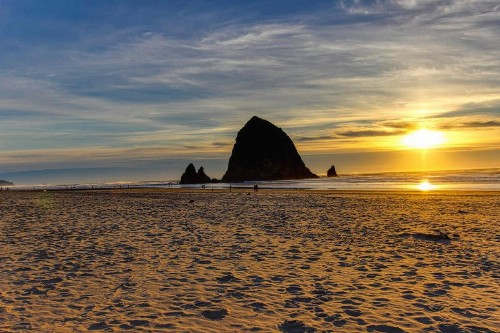 Cozy Cannon Beach Cottage by the Sea - image 6