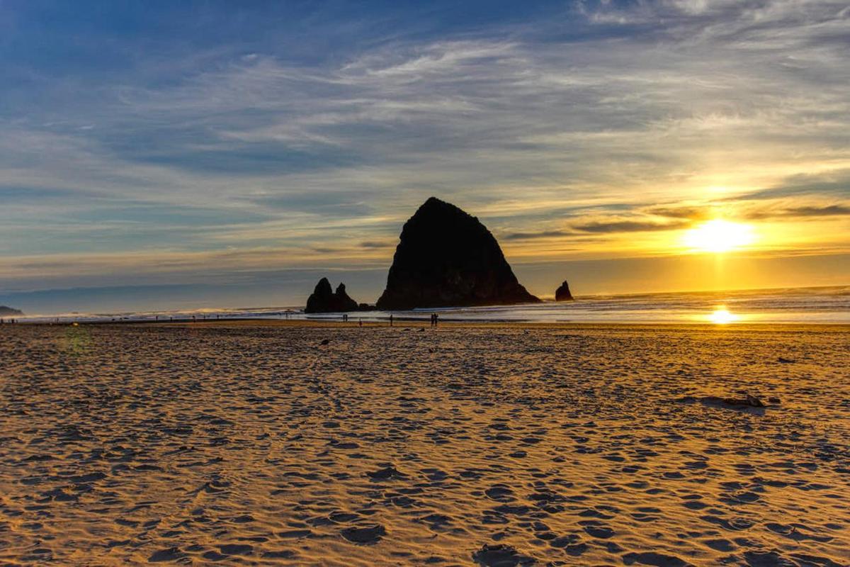 Cozy Cannon Beach Cottage by the Sea - image 6