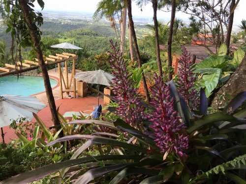 El Pequeño Hotel - image 13