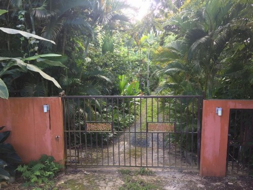 El Pequeño Hotel - image 45