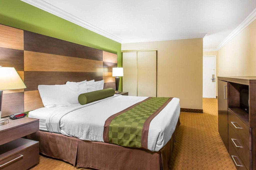 Rodeway Inn & Suites Canyon Lake I-15 - image 7