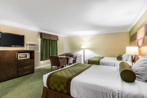 Rodeway Inn & Suites Canyon Lake I-15 - image 8