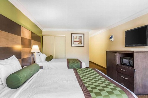 Rodeway Inn & Suites Canyon Lake I-15 - image 10