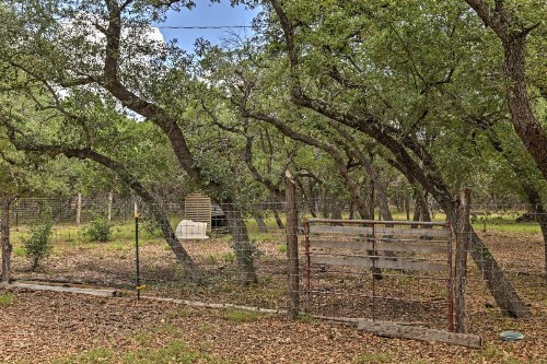 Rustic Canyon Lake Cabins with Hot Tub on about 3 Acres! - image 8