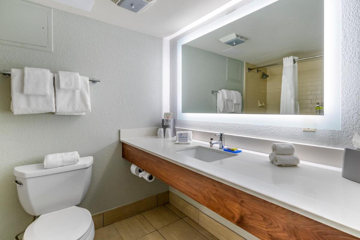 Holiday Inn Express Cape Coral-Fort Myers Area an IHG Hotel - image 6