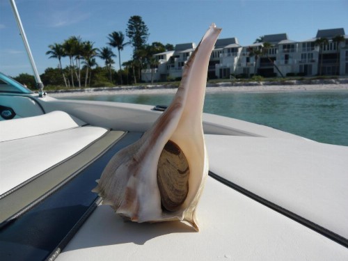 Villa Cape Florida - image 28