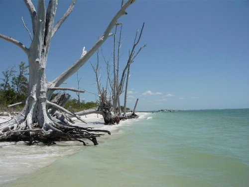 Villa Cape Florida - image 29