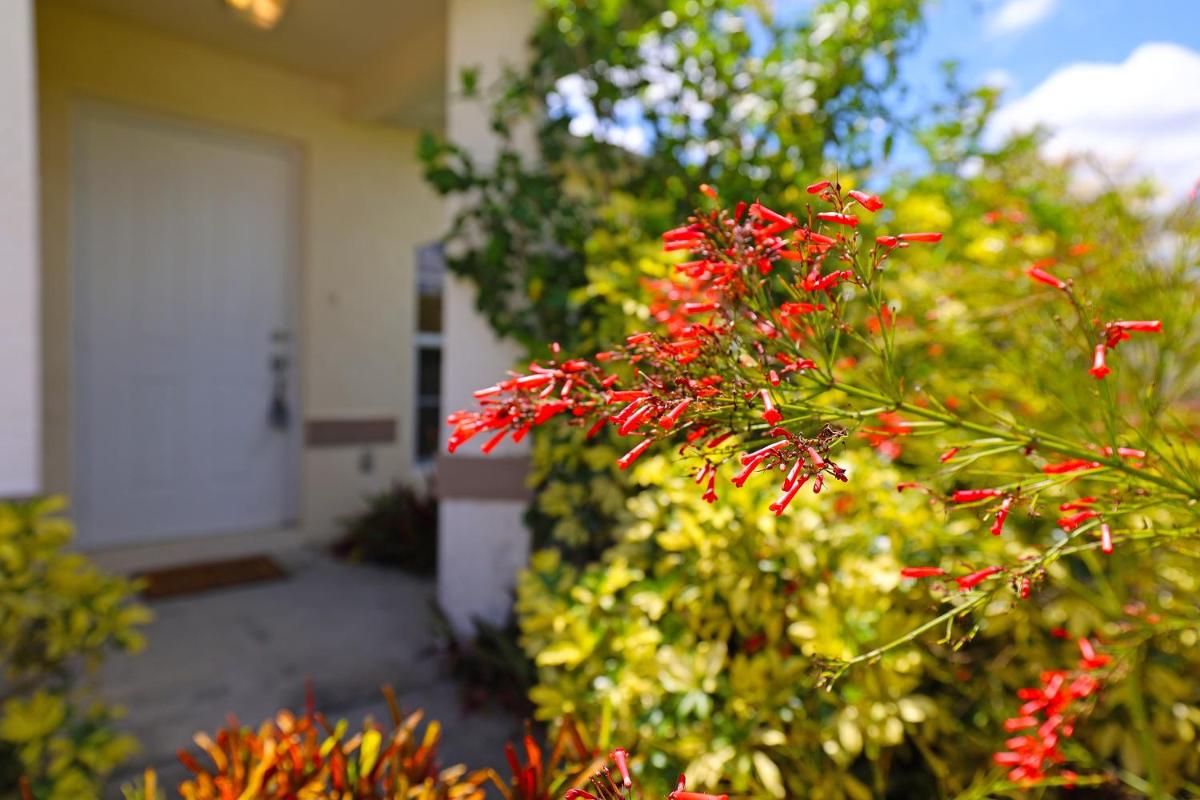 Villa Pine Island - image 2