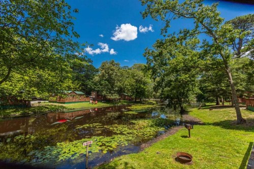 The Cottages of Pine Haven - image 17
