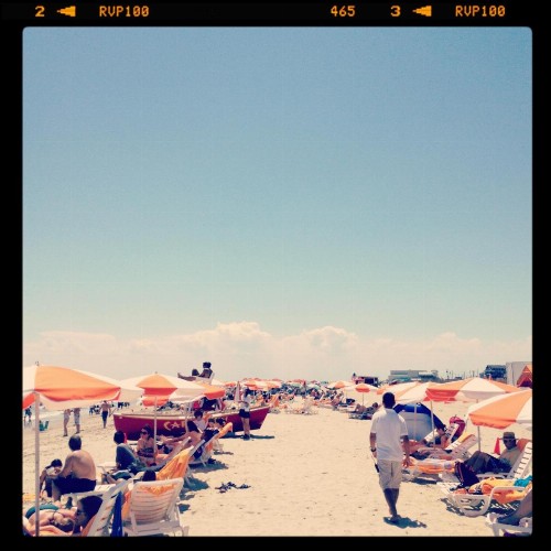 Ocean Club Hotel - image 14