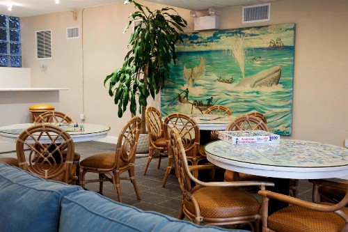 Sandpiper Beach Club - image 11