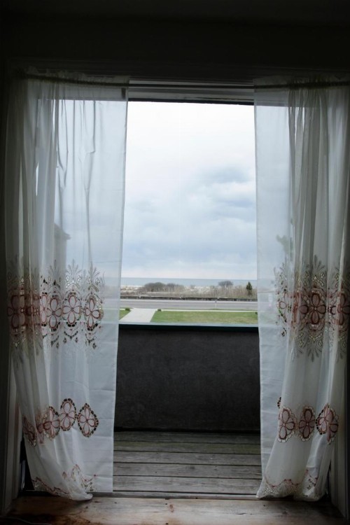 The Buckingham Motel - image 41