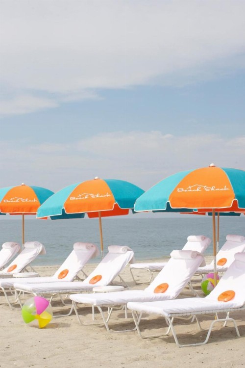 Beach Shack - image 15