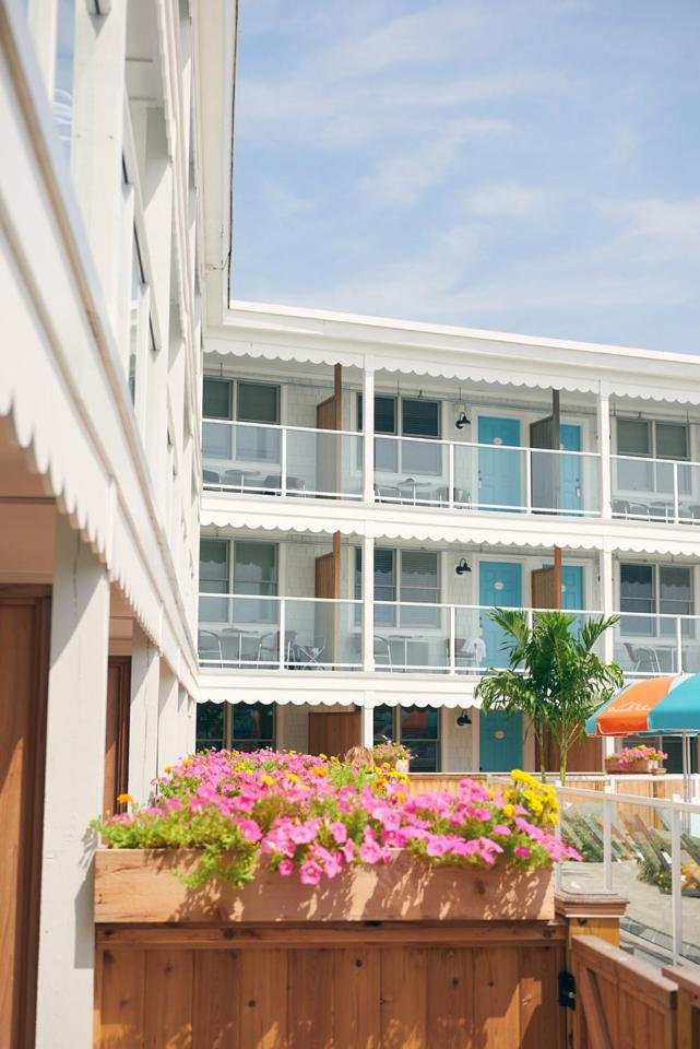 Beach Shack - image 3