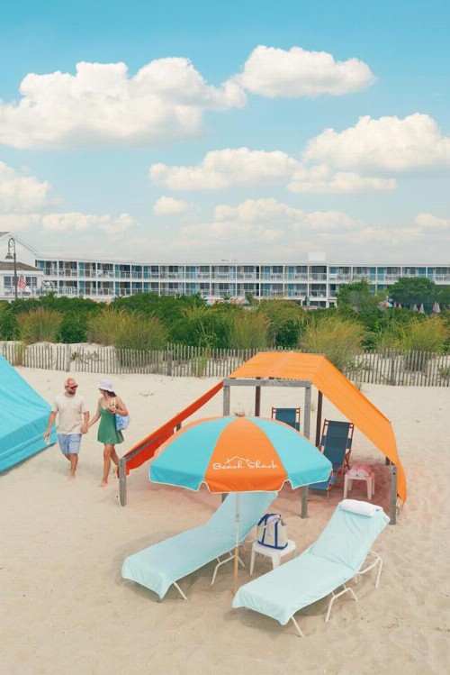 Beach Shack - image 33