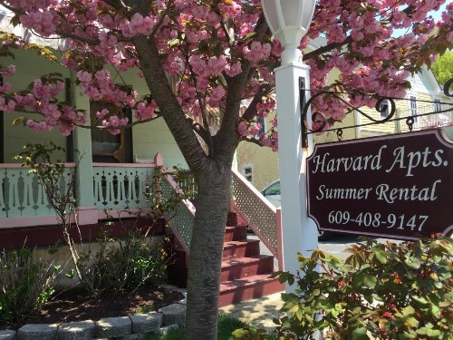 Harvard Apartments #4
