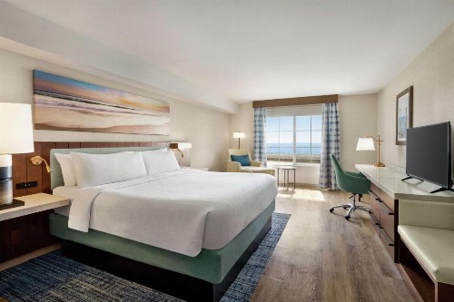 Hilton Garden Inn Carlsbad Beach - image 31