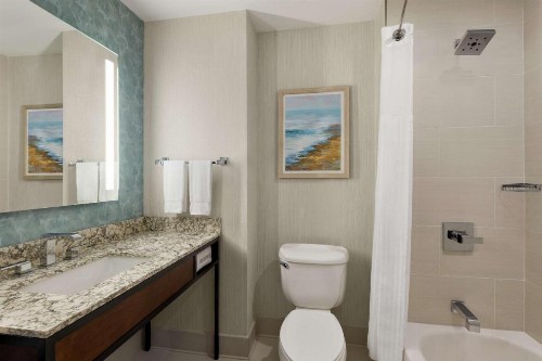Hilton Garden Inn Carlsbad Beach - image 35
