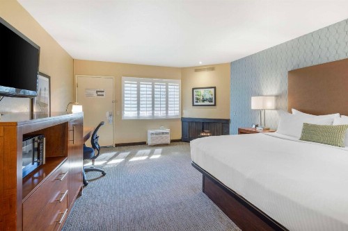 Best Western Plus Beach View Lodge - image 15