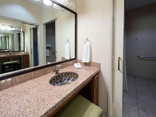 Carlsbad Suites - image 33