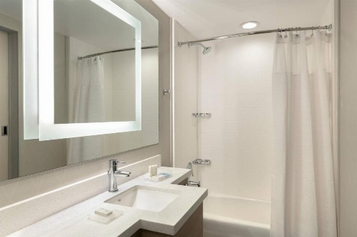 SpringHill Suites by Marriott San Diego Carlsbad - image 14