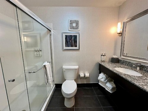 Holiday Inn Carlsbad/San Diego an IHG Hotel - image 3