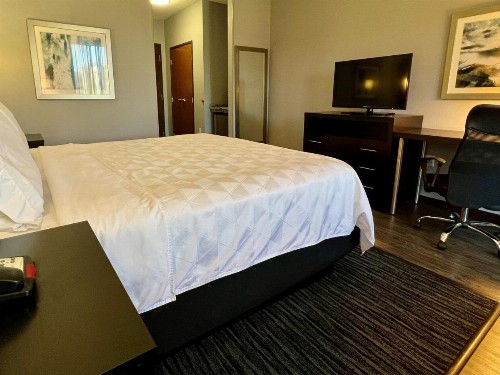 Holiday Inn Carlsbad/San Diego an IHG Hotel - image 40