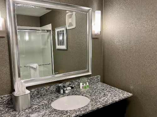 Holiday Inn Carlsbad/San Diego an IHG Hotel - image 49
