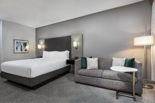 Holiday Inn Carlsbad/San Diego an IHG Hotel - image 8