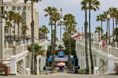 G218 - Palms Away - image 38