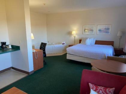Carlyle Inn & Suites - image 3
