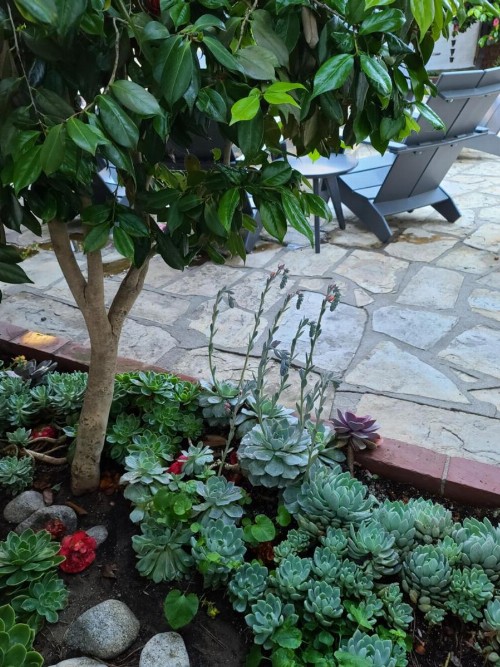 The Vagabond's House Boutique Inn & Spa Studio - image 24